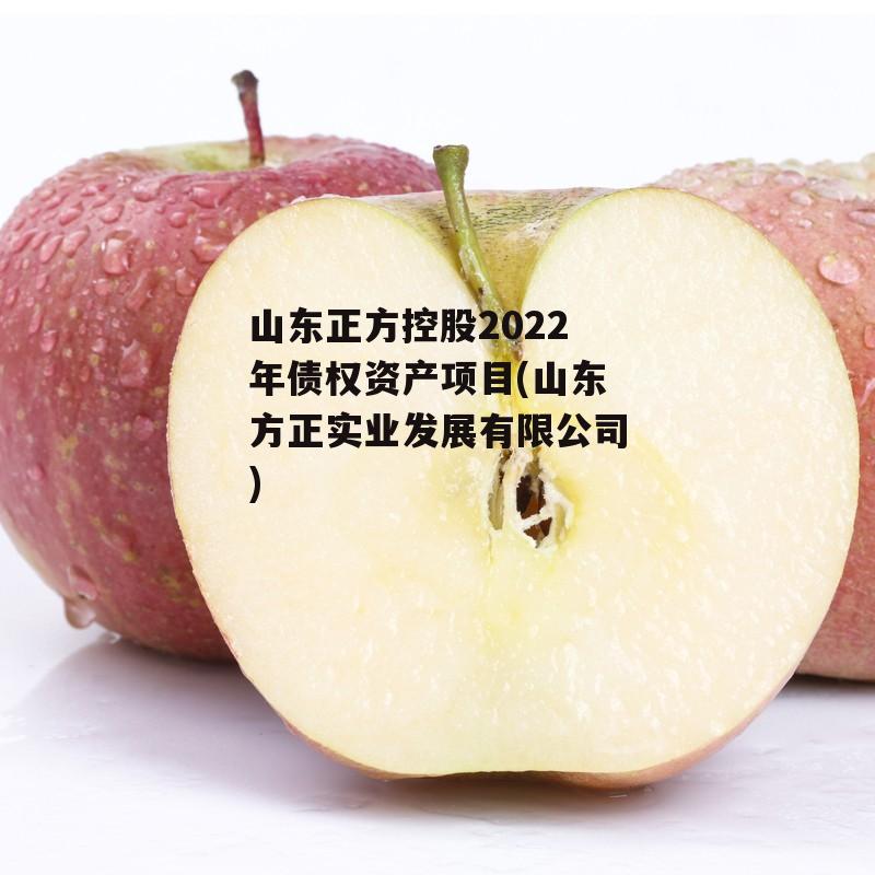 山东正方控股2022年债权资产项目(山东方正实业发展有限公司)