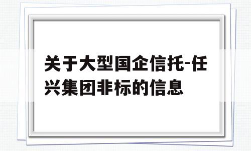 关于大型国企信托-任兴集团非标的信息