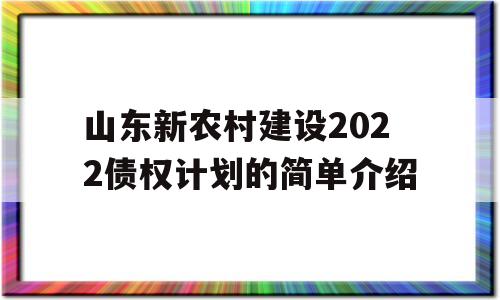 山东新农村建设2022债权计划的简单介绍