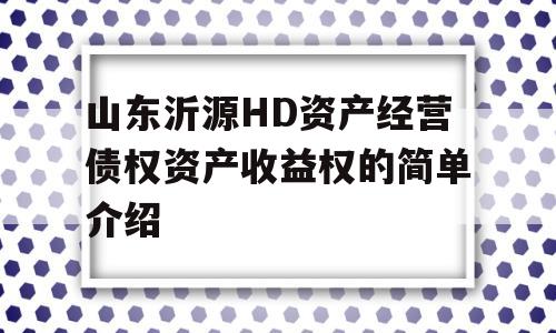 山东沂源HD资产经营债权资产收益权的简单介绍