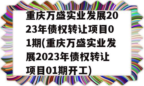 重庆万盛实业发展2023年债权转让项目01期(重庆万盛实业发展2023年债权转让项目01期开工)