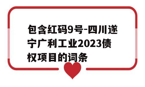 包含红码9号-四川遂宁广利工业2023债权项目的词条