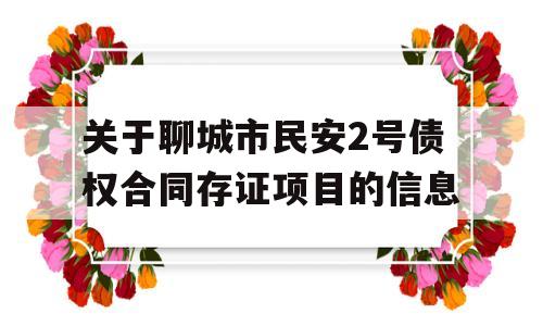 关于聊城市民安2号债权合同存证项目的信息