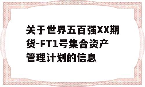 关于世界五百强XX期货-FT1号集合资产管理计划的信息