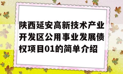 陕西延安高新技术产业开发区公用事业发展债权项目01的简单介绍