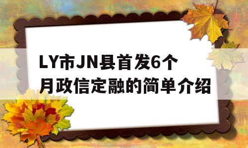 LY市JN县首发6个月政信定融的简单介绍