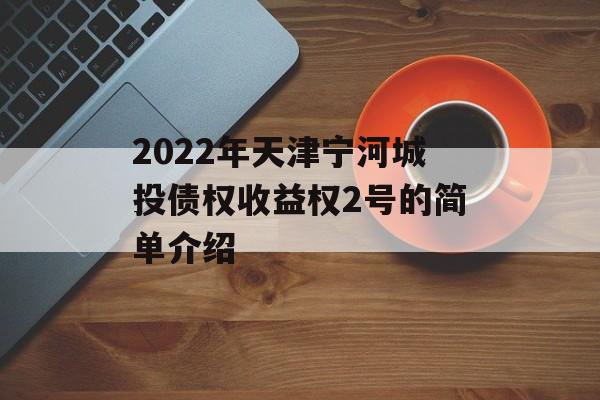 2022年天津宁河城投债权收益权2号的简单介绍