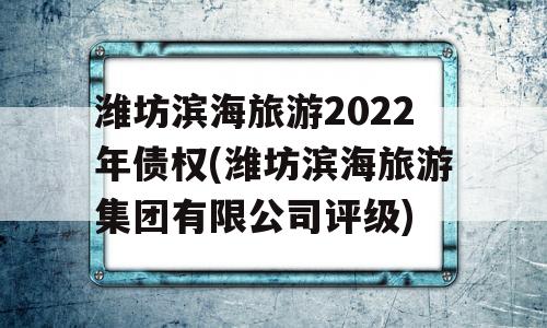 潍坊滨海旅游2022年债权(潍坊滨海旅游集团有限公司评级)