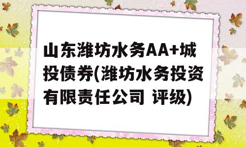 山东潍坊水务AA+城投债券(潍坊水务投资有限责任公司 评级)