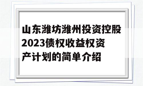 山东潍坊潍州投资控股2023债权收益权资产计划的简单介绍