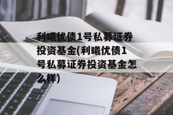 利曦优债1号私募证券投资基金(利曦优债1号私募证券投资基金怎么样)