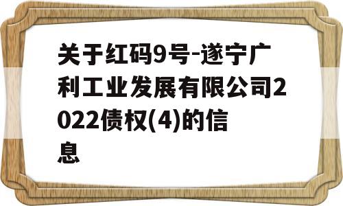 关于红码9号-遂宁广利工业发展有限公司2022债权(4)的信息