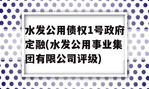 水发公用债权1号政府定融(水发公用事业集团有限公司评级)