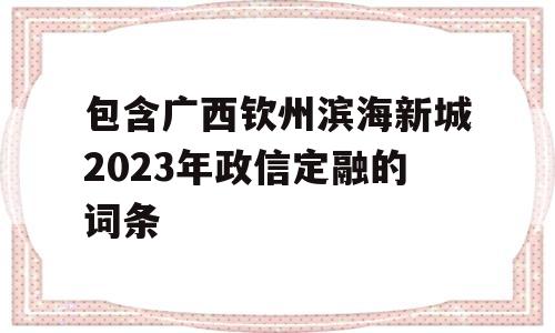 包含广西钦州滨海新城2023年政信定融的词条