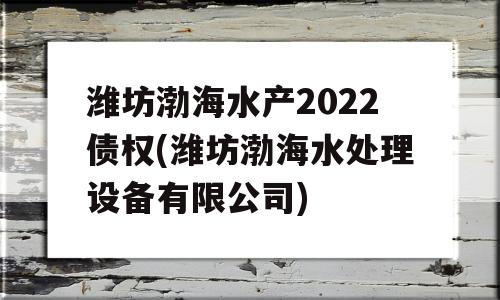 潍坊渤海水产2022债权(潍坊渤海水处理设备有限公司)