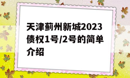 天津蓟州新城2023债权1号/2号的简单介绍