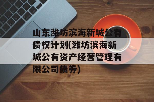 山东潍坊滨海新城公有债权计划(潍坊滨海新城公有资产经营管理有限公司债券)