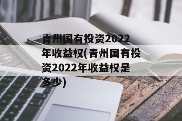 青州国有投资2022年收益权(青州国有投资2022年收益权是多少)