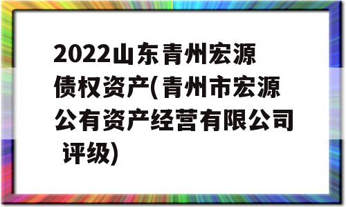 2022山东青州宏源债权资产(青州市宏源公有资产经营有限公司 评级)