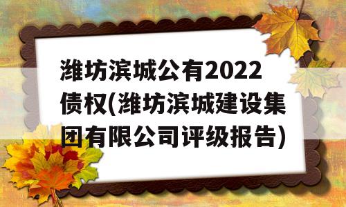 潍坊滨城公有2022债权(潍坊滨城建设集团有限公司评级报告)