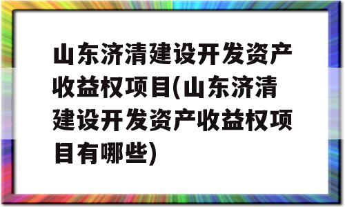 山东济清建设开发资产收益权项目(山东济清建设开发资产收益权项目有哪些)