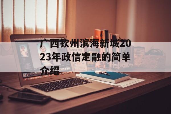 广西钦州滨海新城2023年政信定融的简单介绍