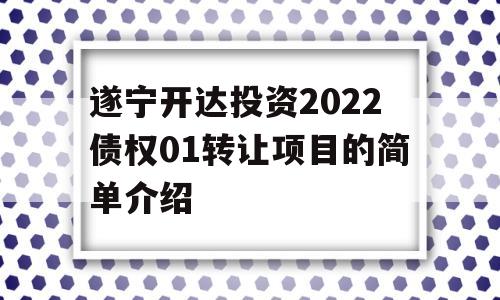 遂宁开达投资2022债权01转让项目的简单介绍