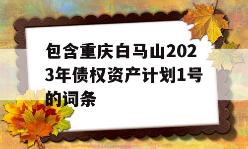 包含重庆白马山2023年债权资产计划1号的词条