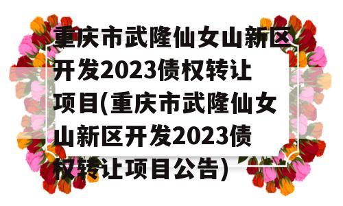 重庆市武隆仙女山新区开发2023债权转让项目(重庆市武隆仙女山新区开发2023债权转让项目公告)