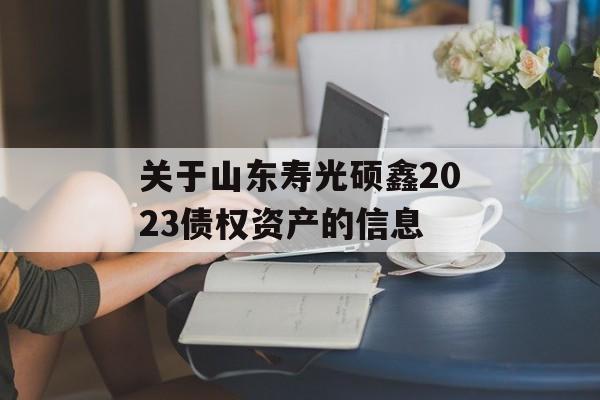 关于山东寿光硕鑫2023债权资产的信息