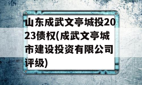 山东成武文亭城投2023债权(成武文亭城市建设投资有限公司 评级)