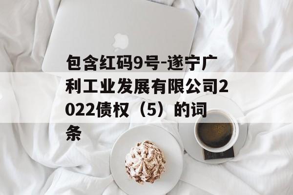 包含红码9号-遂宁广利工业发展有限公司2022债权（5）的词条