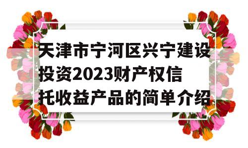 天津市宁河区兴宁建设投资2023财产权信托收益产品的简单介绍