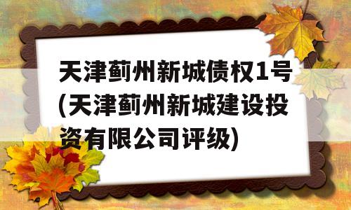 天津蓟州新城债权1号(天津蓟州新城建设投资有限公司评级)