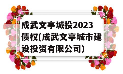 成武文亭城投2023债权(成武文亭城市建设投资有限公司)