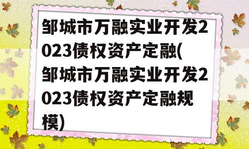 邹城市万融实业开发2023债权资产定融(邹城市万融实业开发2023债权资产定融规模)