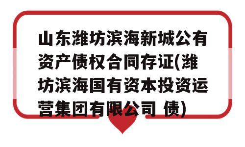 山东潍坊滨海新城公有资产债权合同存证(潍坊滨海国有资本投资运营集团有限公司 债)