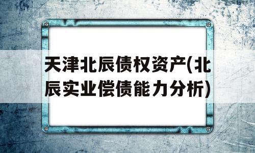 天津北辰债权资产(北辰实业偿债能力分析)