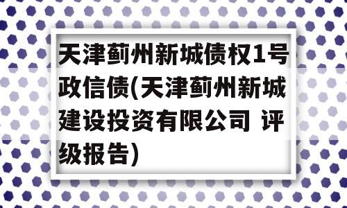 天津蓟州新城债权1号政信债(天津蓟州新城建设投资有限公司 评级报告)