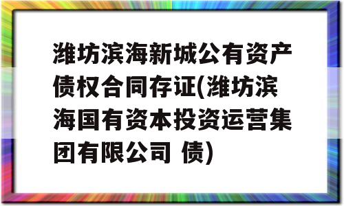 潍坊滨海新城公有资产债权合同存证(潍坊滨海国有资本投资运营集团有限公司 债)