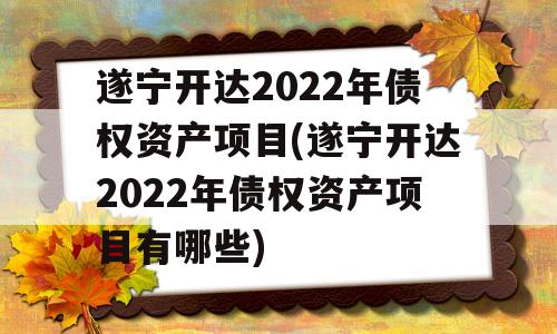 遂宁开达2022年债权资产项目(遂宁开达2022年债权资产项目有哪些)