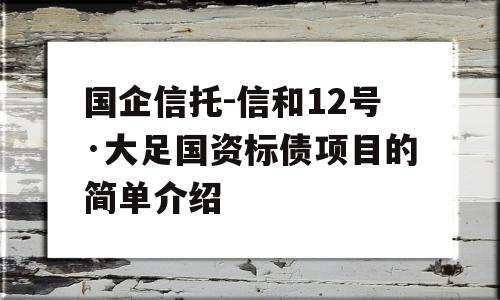 国企信托-信和12号·大足国资标债项目的简单介绍