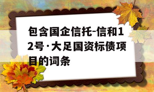 包含国企信托-信和12号·大足国资标债项目的词条