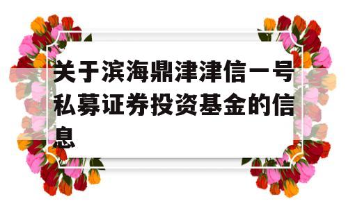 关于滨海鼎津津信一号私募证券投资基金的信息