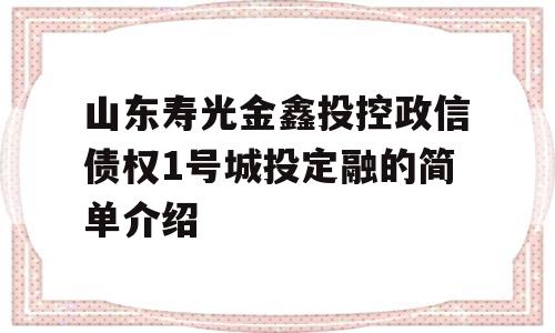 山东寿光金鑫投控政信债权1号城投定融的简单介绍