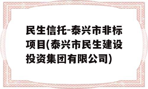 民生信托-泰兴市非标项目(泰兴市民生建设投资集团有限公司)