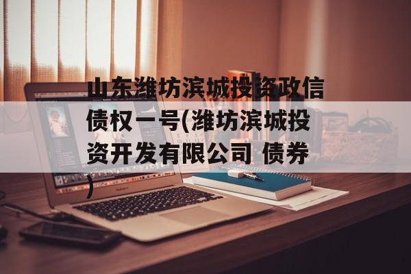 山东潍坊滨城投资政信债权一号(潍坊滨城投资开发有限公司 债券)