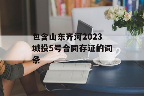 包含山东齐河2023城投5号合同存证的词条