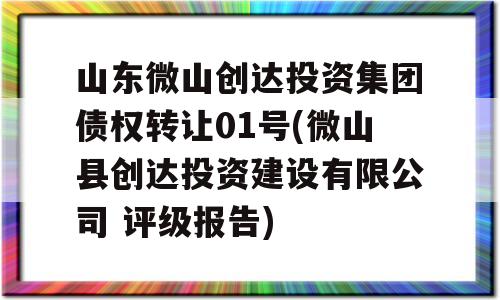 山东微山创达投资集团债权转让01号(微山县创达投资建设有限公司 评级报告)