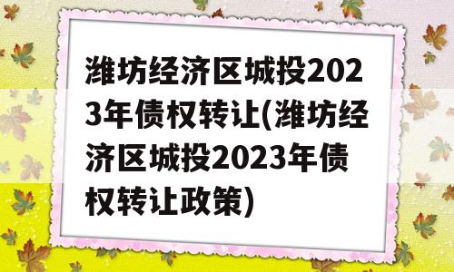 潍坊经济区城投2023年债权转让(潍坊经济区城投2023年债权转让政策)